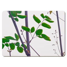 Load image into Gallery viewer, 6 Floral Placemats - Thalictrum