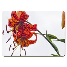 Load image into Gallery viewer, 6 Floral Placemats - Lilium