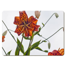 Load image into Gallery viewer, 6 Floral Placemats - Lilium