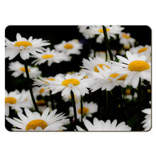 Load image into Gallery viewer, 6 Floral Placemats - Daisy