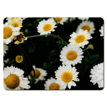 Load image into Gallery viewer, 6 Floral Placemats - Daisy