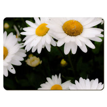 Load image into Gallery viewer, 6 Floral Placemats - Daisy