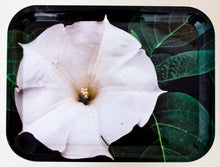 Load image into Gallery viewer, Tray - Datura (Moonflower)