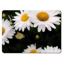 Load image into Gallery viewer, 6 Floral Placemats  - Daisy
